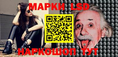 mdpv Ярославль
