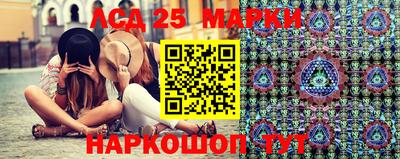 mdpv Ярославль