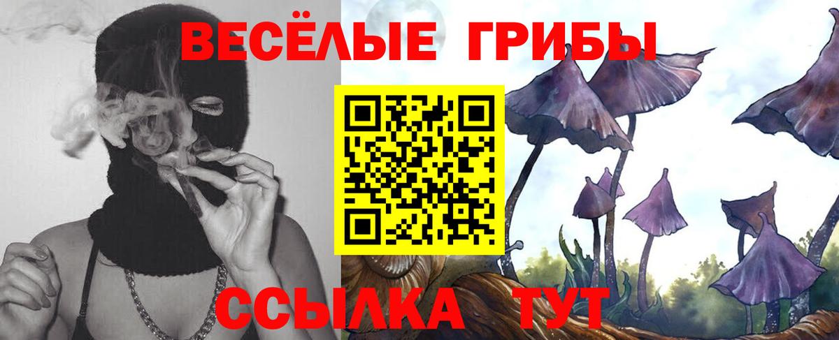 Вышний Волочёк  Галлюциногенные грибы мухоморы  Псилоцибиновые грибы Magic Shrooms  Вход с VPN 