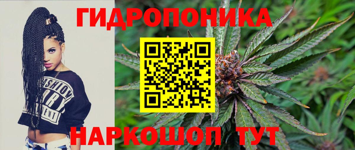 Шишки марихуана SATIVA & INDICA  Вход с VPN  Вышний Волочёк  Канабис THC 21%  МАРИХУАНА OG Kush 